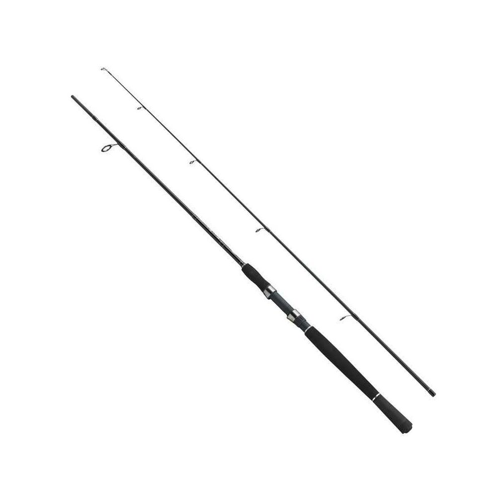 FLADEN XTRA FLEX 180CM,40-80 G, 2P SPİN KAMIŞ